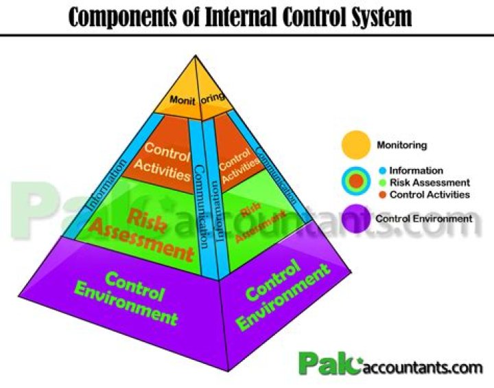 What is internal control system example?