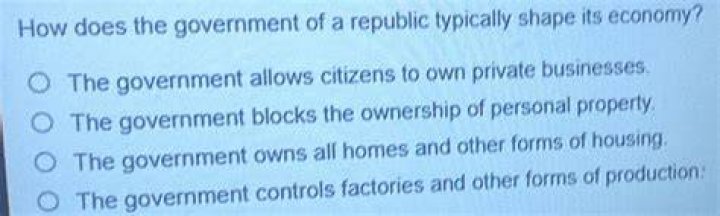 What is it called when the government owns all businesses?