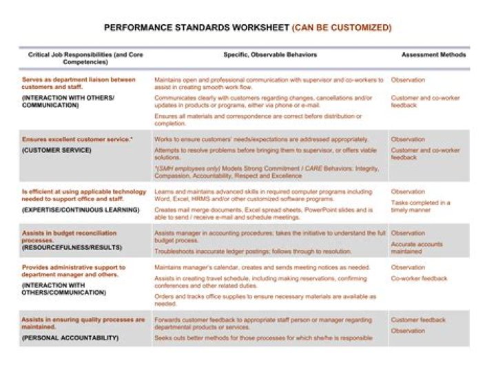What is job performance standard?
