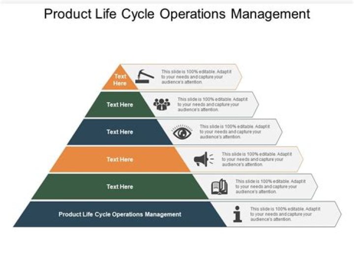 What is life cycle in operations management?