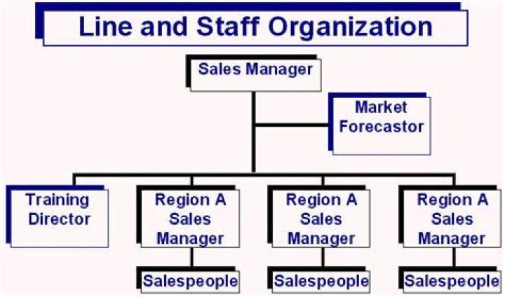 What is line and staff organization with example?