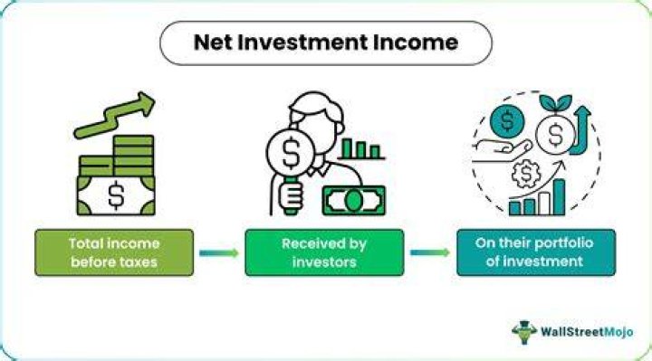 What is meant by net investment?