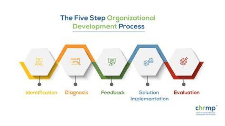 What is organizational process model?