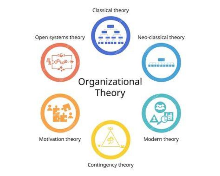 What is organizational theory in management?