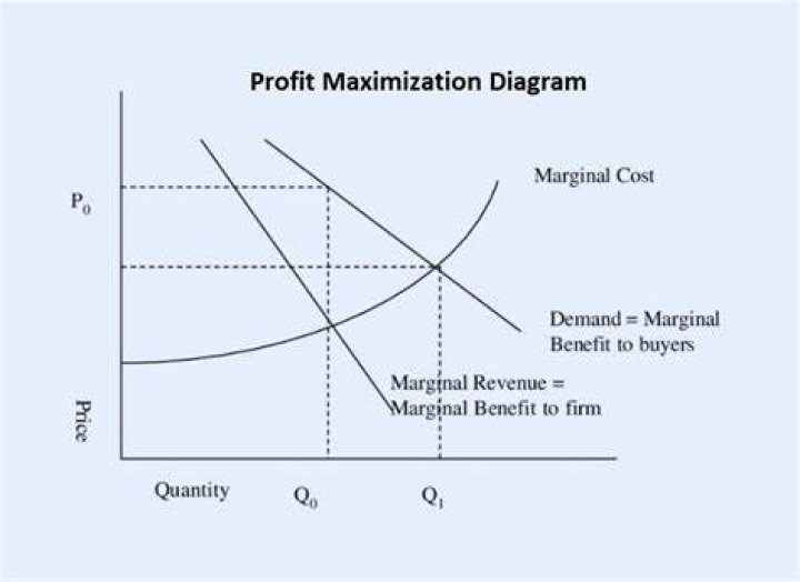 What is profit maximization in financial management?