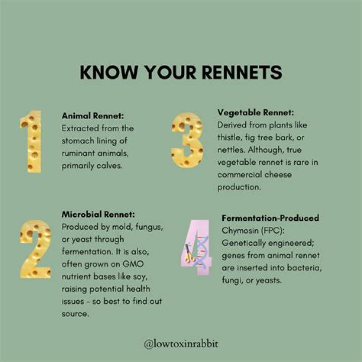 What is rennet and why is it important?