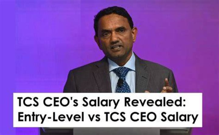 What is salary of CEO of TCS?