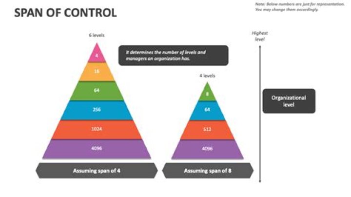 What is span of control in simple words?