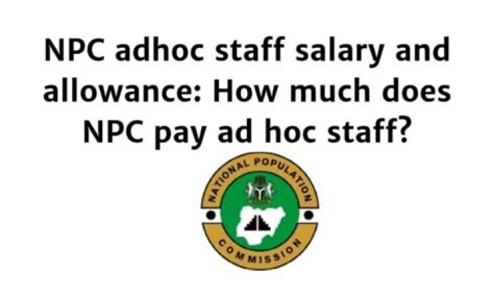 What is the adhoc salary?
