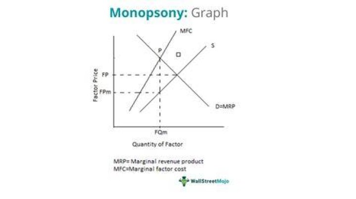 What is the advantage of monopsony?