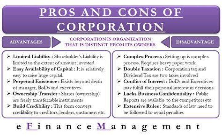 What is the advantages and disadvantages of corporation?
