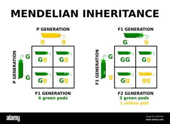 What is the best thing to do with an inheritance?