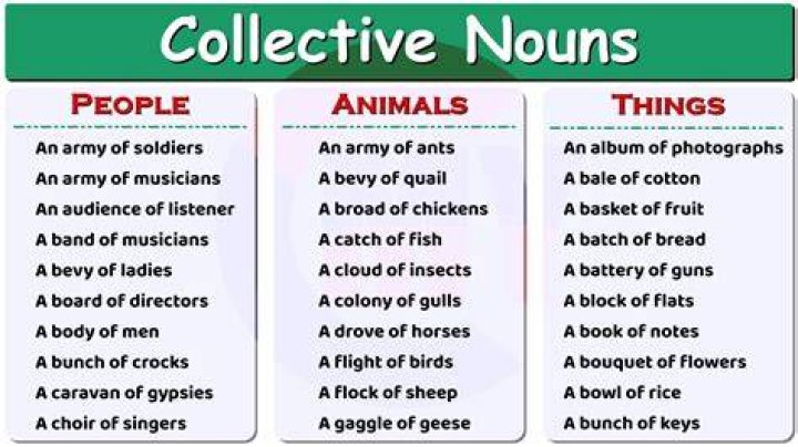 What is the collective noun for notes?