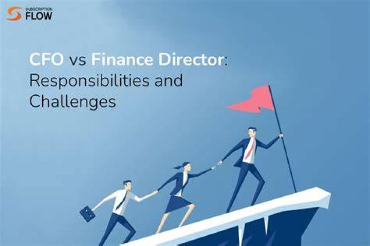 What is the difference between CFO and finance director?