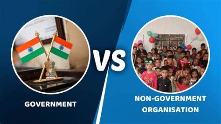 What is the difference between government and non government organizations?