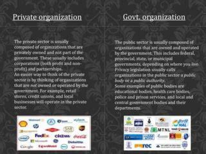 What is the difference between government organization and private organization?