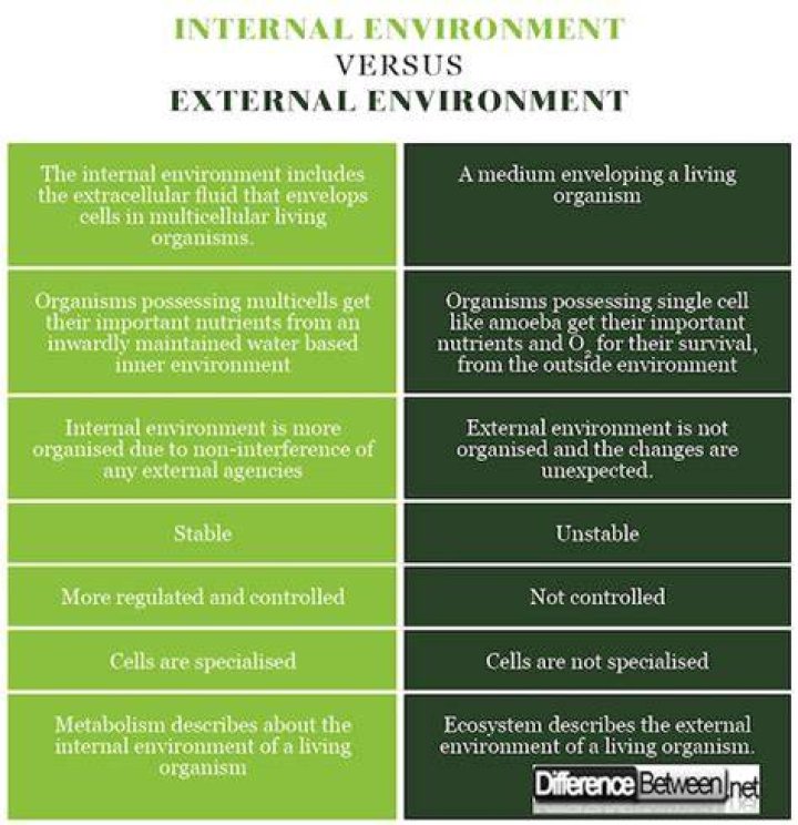 What is the difference between internal and external?