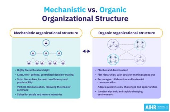What is the difference between mechanistic and organic Organisation?