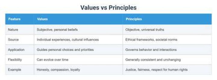 What is the difference between principles and assumptions?