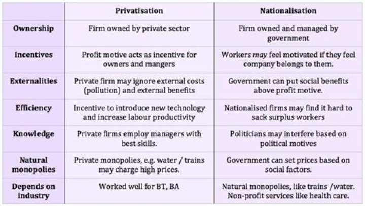 What is the difference between privatisation and privatization?