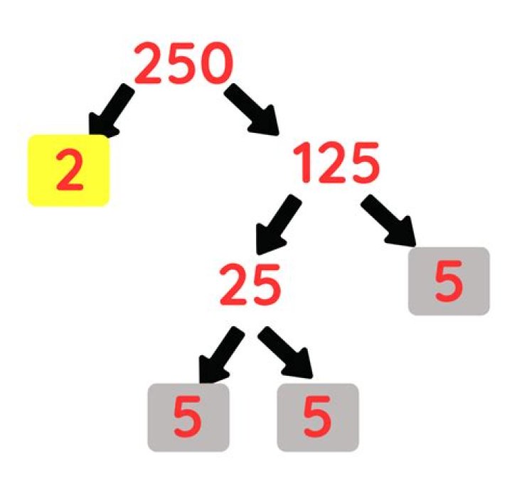 What is the factor tree for 250?