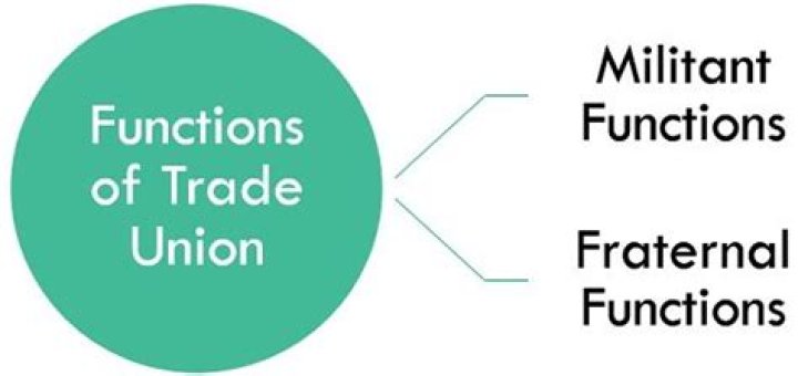 What is the function of the trade union?