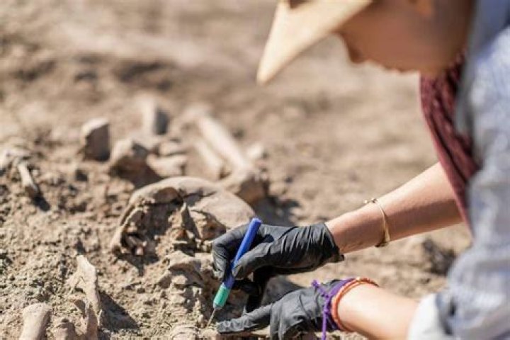 What is the hardest part of being an archaeologist?