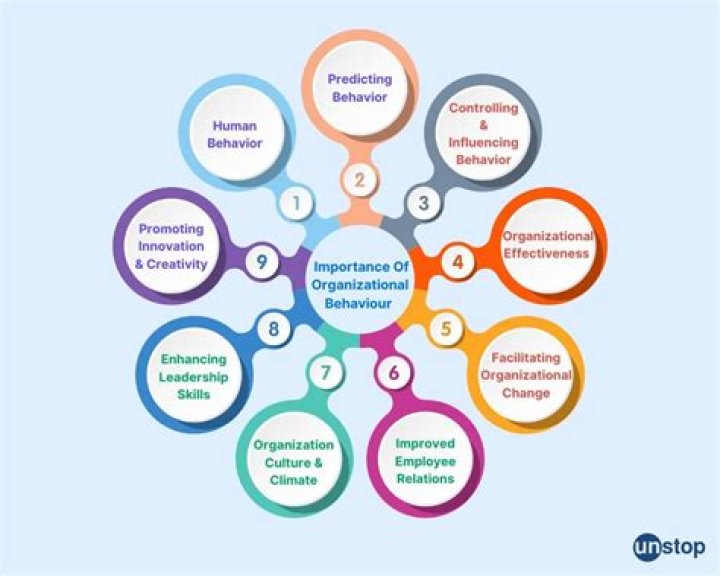 What is the importance OB in an organization?