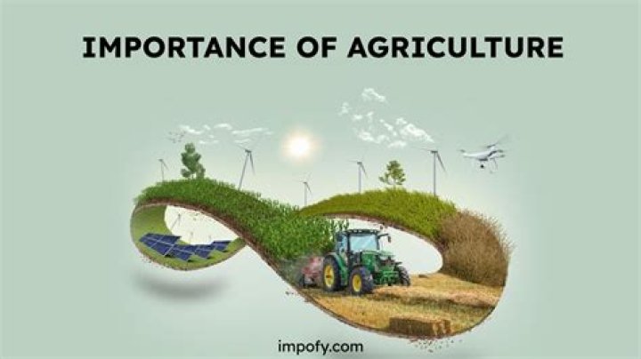 What is the importance of dairy farming Why is it mainly Practised near urban and industrial Centres of the world explain two reasons?
