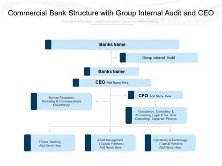 What is the internal Organisation of commercial bank?