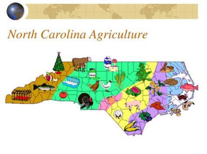 What is the main agriculture of North Carolina?