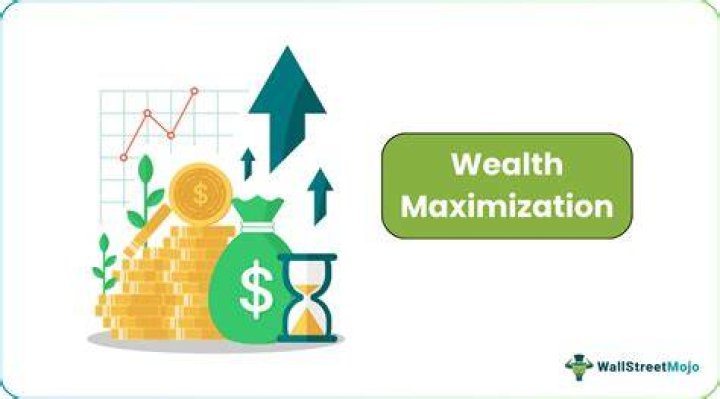 What is the maximization of shareholders wealth?