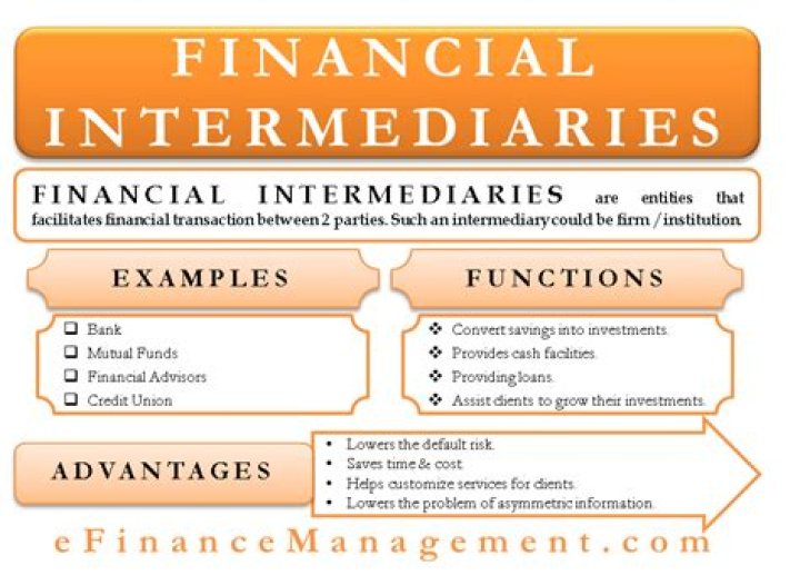What is the meaning of financial intermediaries?