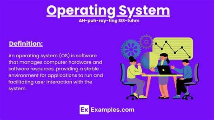 What is the meaning of operating resources?
