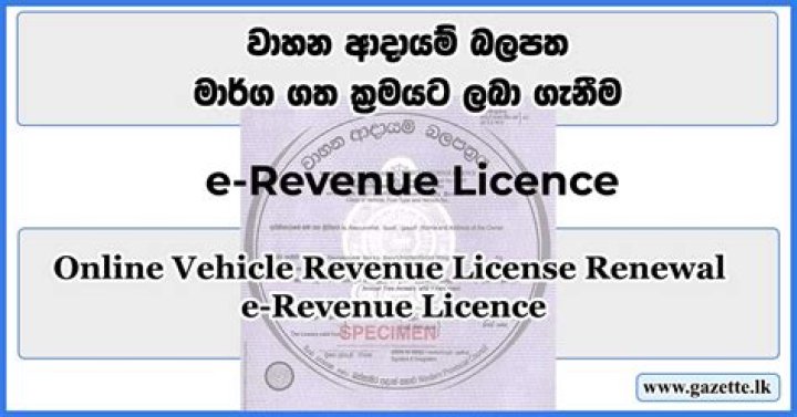 What is the meaning of revenue license?