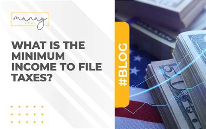 What is the minimum income to file taxes in 2020?