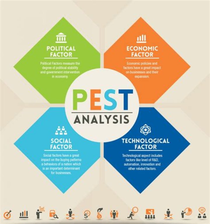 What is the PEST analysis purpose?