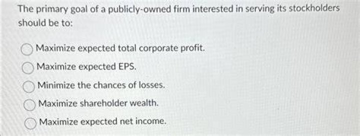 What is the primary goal of a publicly owned firm interested in serving its stockholders?
