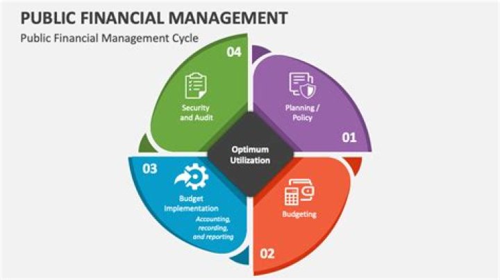 What is the purpose of public financial management?