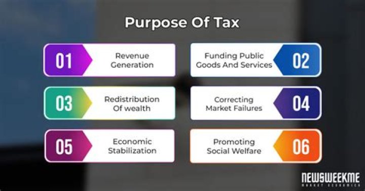 What is the purpose of taxes for a government?