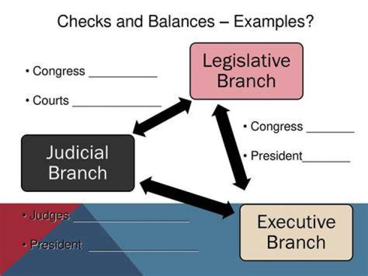 What is the real reason for the checks and balances?