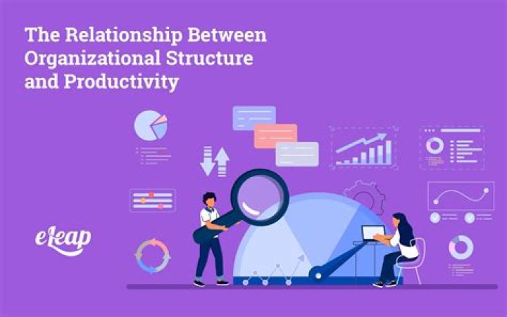 What is the relationship between age and the organizational issues of productivity?