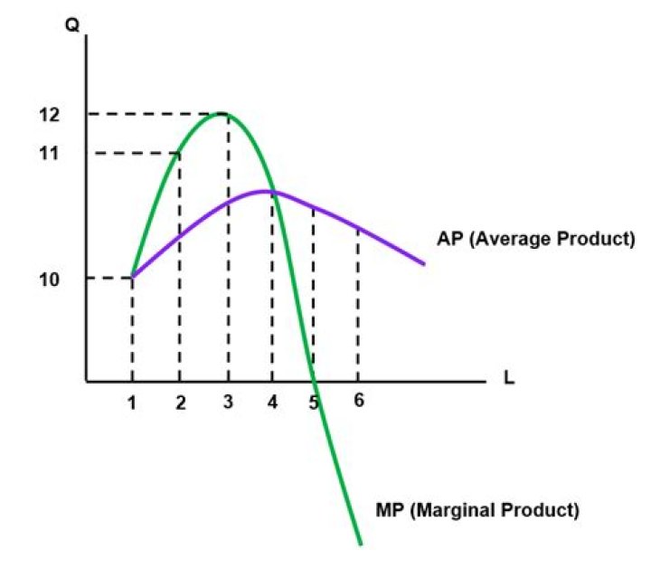 What is the relationship between the average product and marginal product?