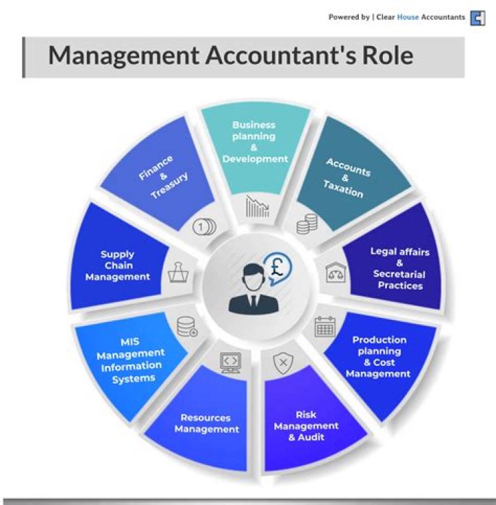 What is the role and functions of an accountant in a business organization?