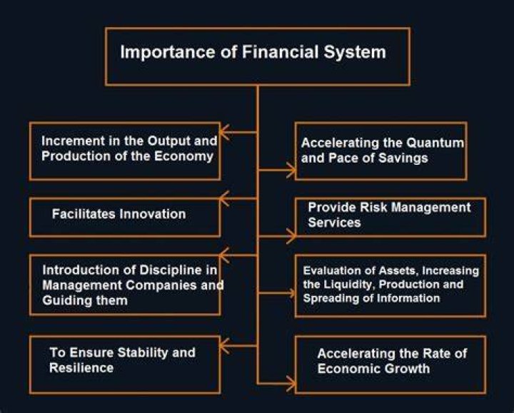 What is the role and importance of financial system?