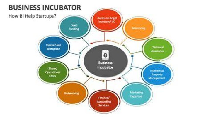 What is the role of an incubator in supporting entrepreneurship?