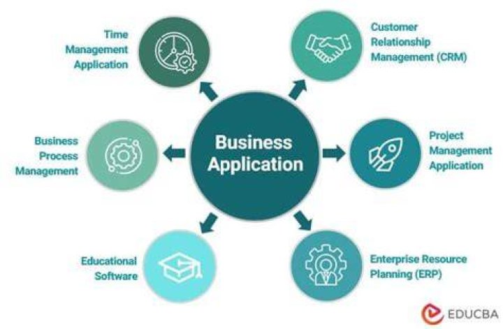 What is the role of application software in business?