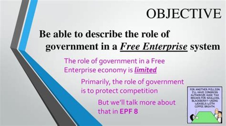What is the role of government in our free enterprise economy?