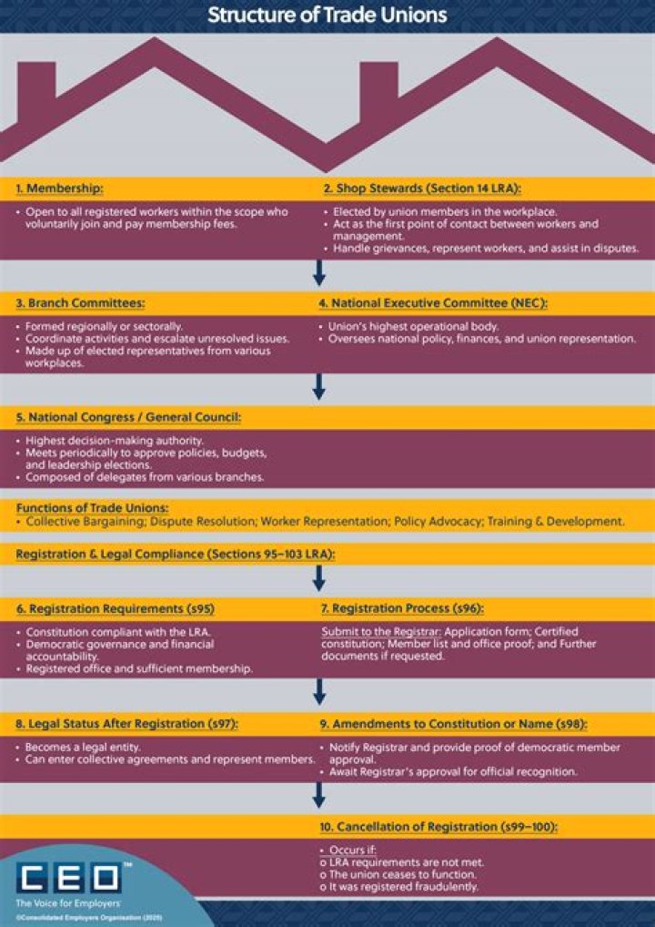 What is the structure of trade unions?