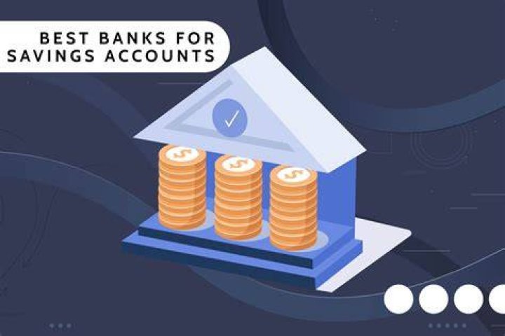 What is the use of savings bank account?